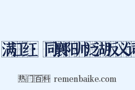 满江红·同襄阳帅泛湖反义词是什么意思的图片